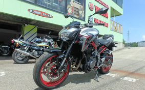 KAWASAKI Z900 2019 ZR900B