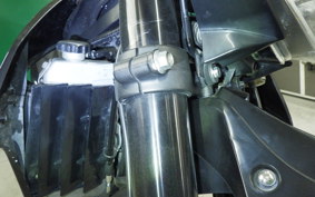 KAWASAKI KLX250D TRACKER X 2021 LX250V