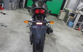 YAMAHA FZ1 FAZER 2009 RN21J