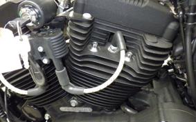 HARLEY XL1200NS 2019