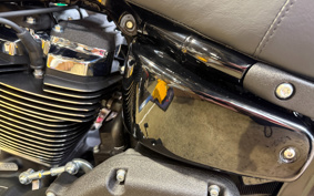 HARLEY FXLRS 2025 YWA