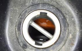 HONDA LEAD 110 2025 JF19