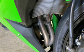 KAWASAKI NINJA ZX-6R 2023 ZX636G