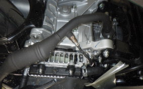 YAMAHA CYGNUSｸﾞﾘﾌｧｽ 2008 SEJ4J