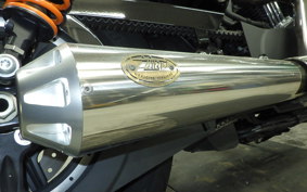 HARLEY XL1200NS 2019