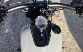 HARLEY  HARLEY FXFBS 2025 YLK