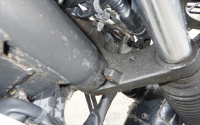 HONDA C110 SUPER CUB