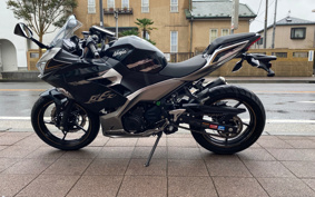 KAWASAKI NINJA 250 EX250P