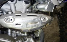 YAMAHA WR250R DG15J