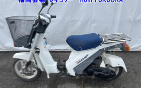 SUZUKI MOLLET