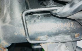 KAWASAKI NINJA 250 EX250L