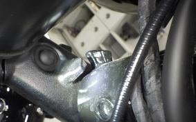TRIUMPH BONNEVILLE T100 2023