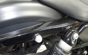 HARLEY XL883N 2019