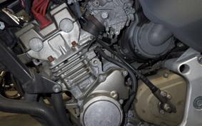 HONDA HORNET 250 MC31