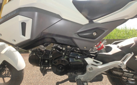 HONDA GROM JC61