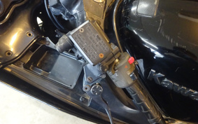 KAWASAKI NINJA ZX-11 1999 ZXBD10