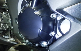 KAWASAKI NINJA 1000 SX 2024 ZXT02K