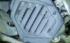HONDA TACT Basket 2013 AF79
