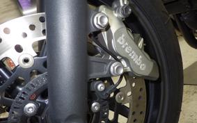 TRIUMPH SPEED TWIN 2019