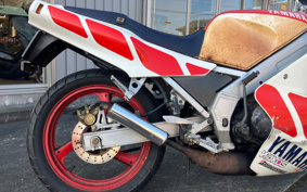 YAMAHA TZR250-1 1KT