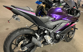 YAMAHA YZF-R25 RG74J