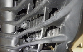 SUZUKI ｼﾞｸｻｰ250SF ED22B