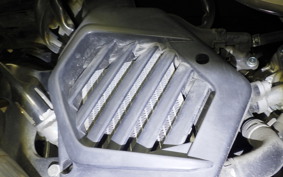 HONDA TACT Basket 2010 AF79