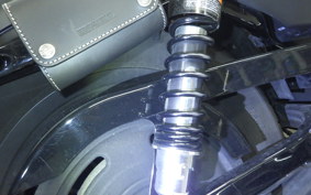 HARLEY XL883N 2009