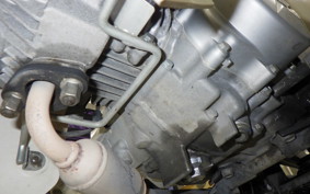 HONDA C50 SUPER CUB 2018 AA09