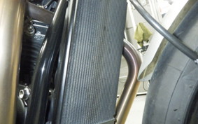 TRIUMPH SPEED TWIN 2023