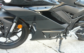 YAMAHA YZF-R25 RG74J