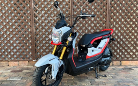 HONDA ZOOMERX JF62