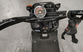 HONDA ZUMAR AF58