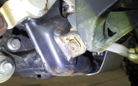 KAWASAKI SUPER SHERPA 2007 KL250G