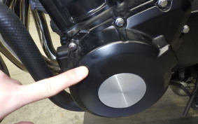 KAWASAKI Z900RS SE 2025 ZR900K