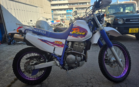 YAMAHA TT250RRAID 4GY
