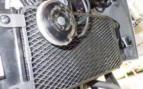 SUZUKI Vｽﾄﾛｰﾑ250A 2026