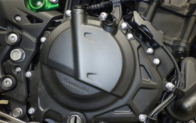 KAWASAKI Z250 Gen.2 2023 EX250Y
