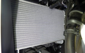 YAMAHA YZF R-3 2025 RH25J