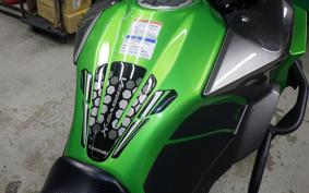 KAWASAKI VERSYS 250 A LE250D