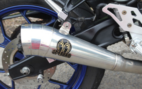 YAMAHA YZF-R25 RG10J