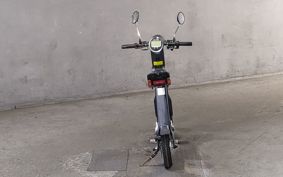 OTHER  BLAZE  SMART EV BLAZE