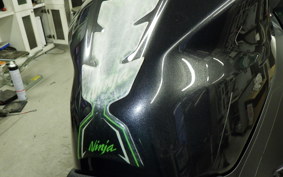 KAWASAKI NINJA 250 1996 EX250P