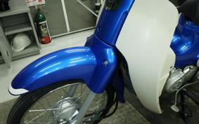 HONDA C110 SUPER CUB