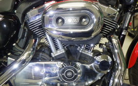 OTHER +HD. XL1200L-I 2010