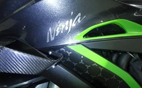 KAWASAKI ZX 10 NINJA R SE 2019