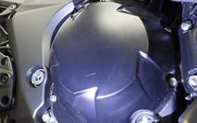 KAWASAKI NINJA 1000SX 2024 ZXT02K
