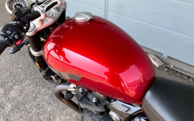 TRIUMPH SPEED TWIN 2021 DAD85H