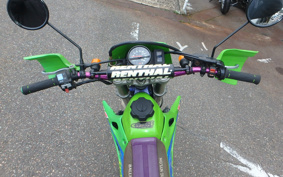 KAWASAKI KLX250 LX250E