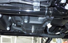 HARLEY FLTRX1920 2025